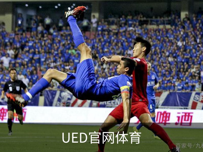 UED官网体育概况